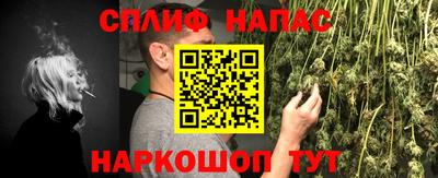 индика Ирбит